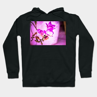 Flower Art photography. Artwork art Hoodie